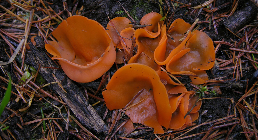 Svuotando l''archivio 2009...parte1